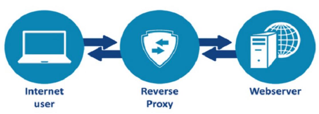 How a Reverse Proxy Works