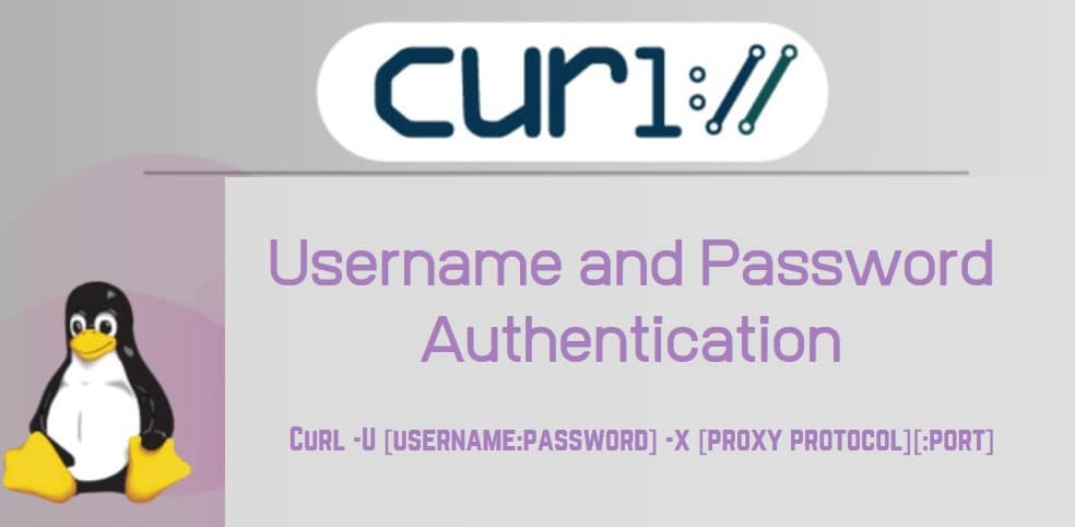 Username and Password Authentication Curl