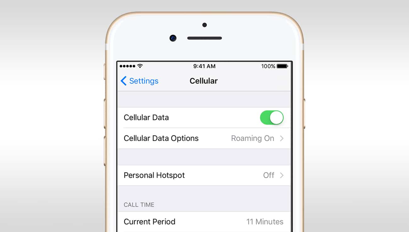 Turn off Your Data Connection for iphone