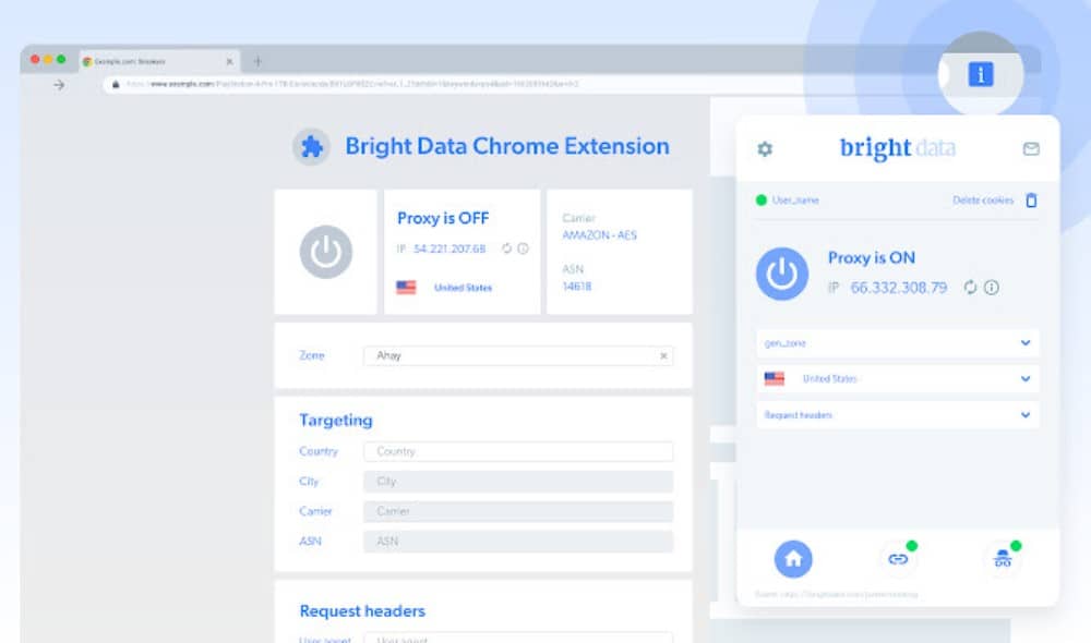 Bright Data Chrome Extension