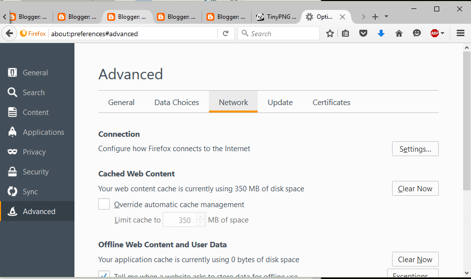Firefox advanced Network option