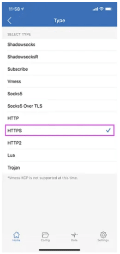 choose the HTTPS with Shadowrocket