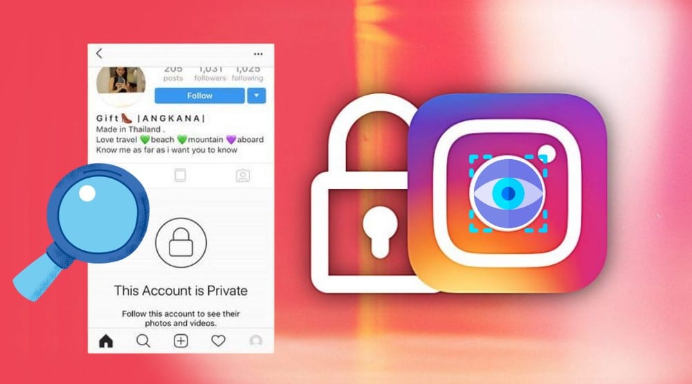 how to see a private instagram account 2022 reddit