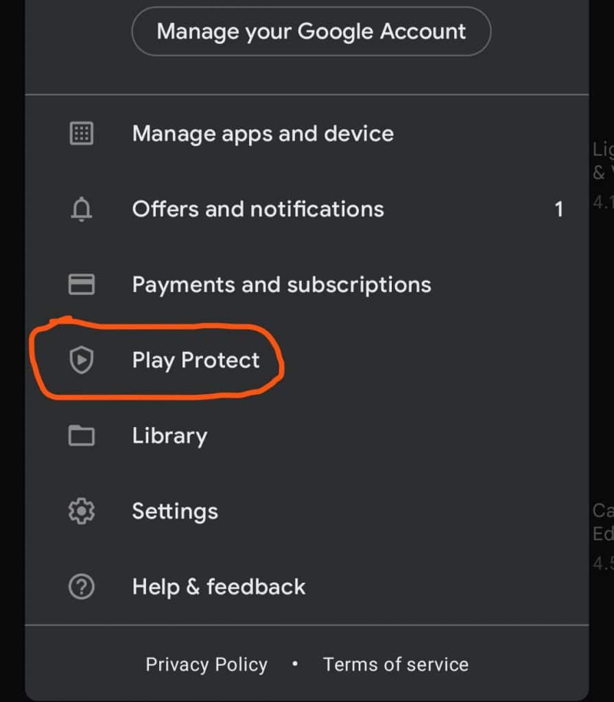 Click on the Play Protect option