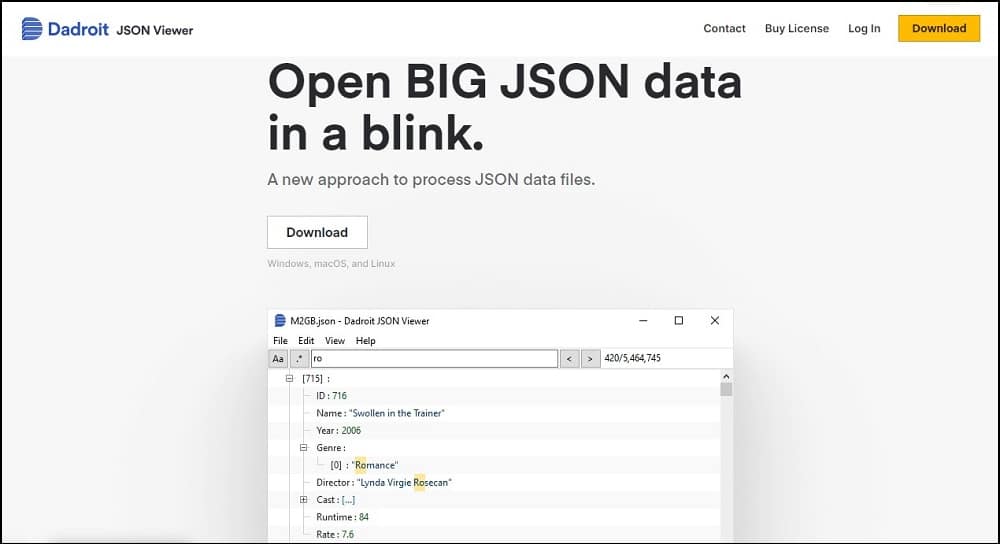Dadroit JSON viewer overview