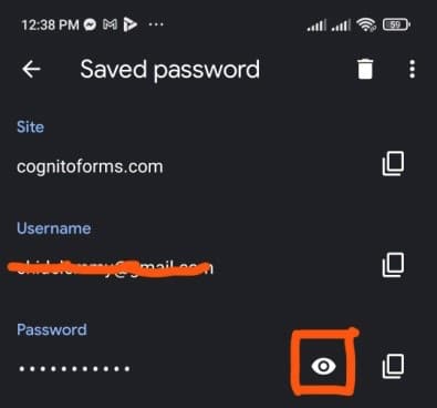 Locate the eye icon on the password segment