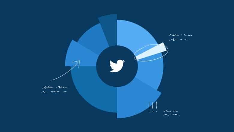 Twitter demograph