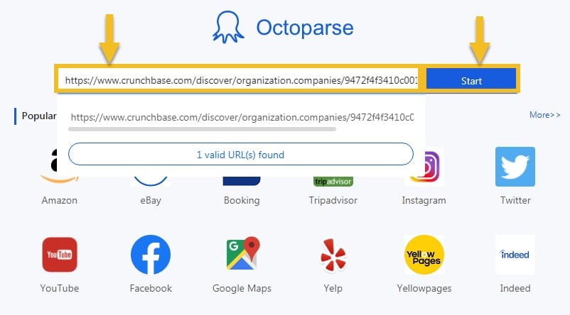 Octoparse home screen and click Start