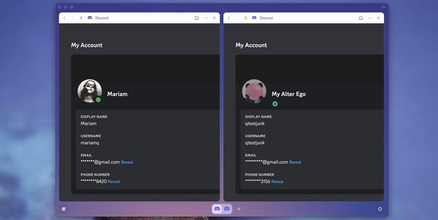 Multiple Accounting on Discord